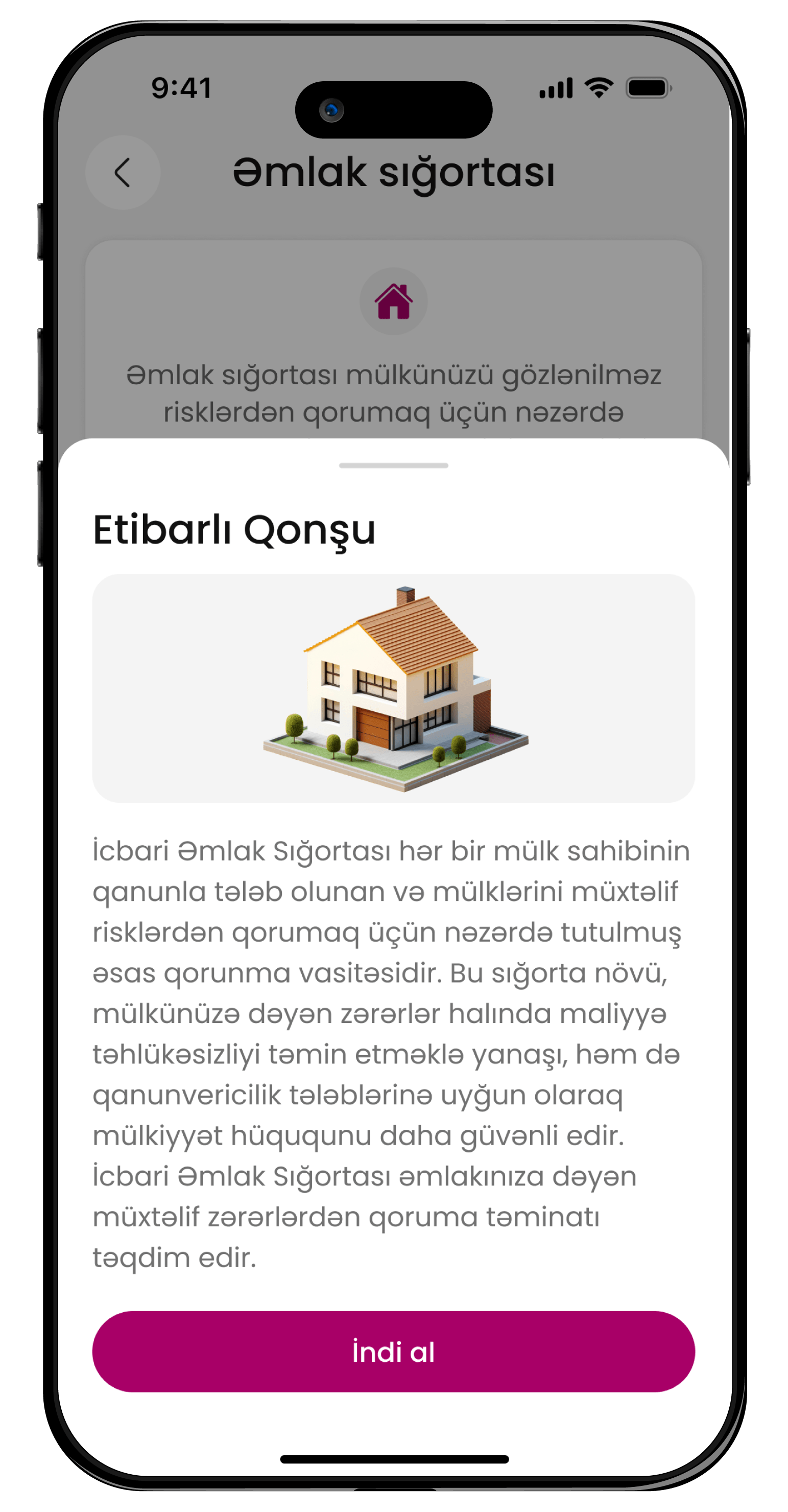 project screenshot