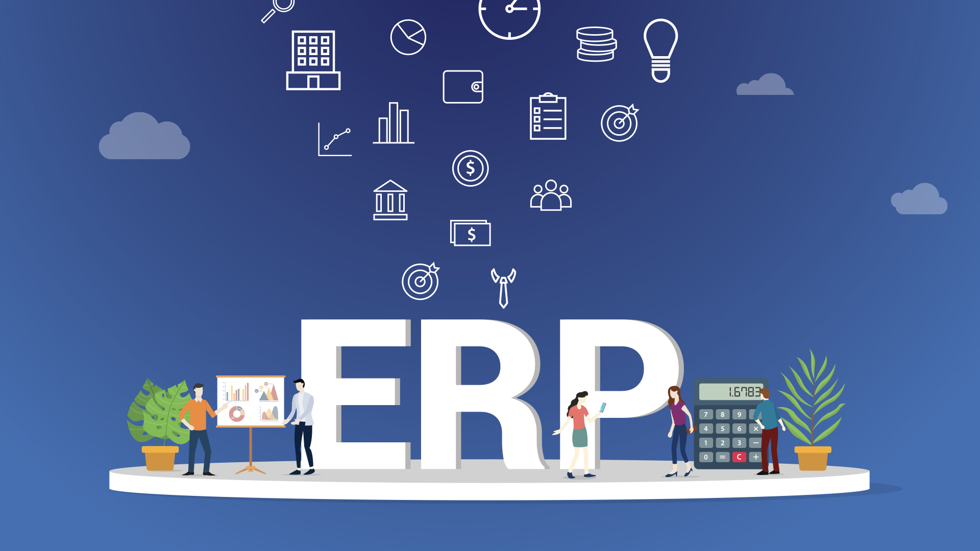 ERP System Development